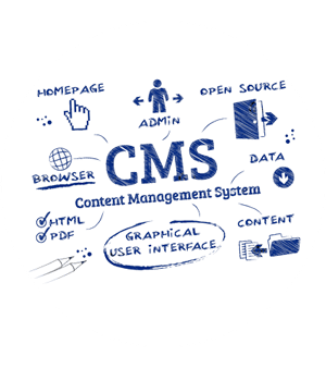 CMS Development Company Ahmedabad